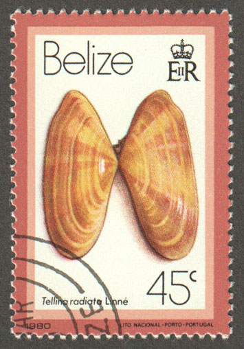 Belize Scott 481 Used - Click Image to Close